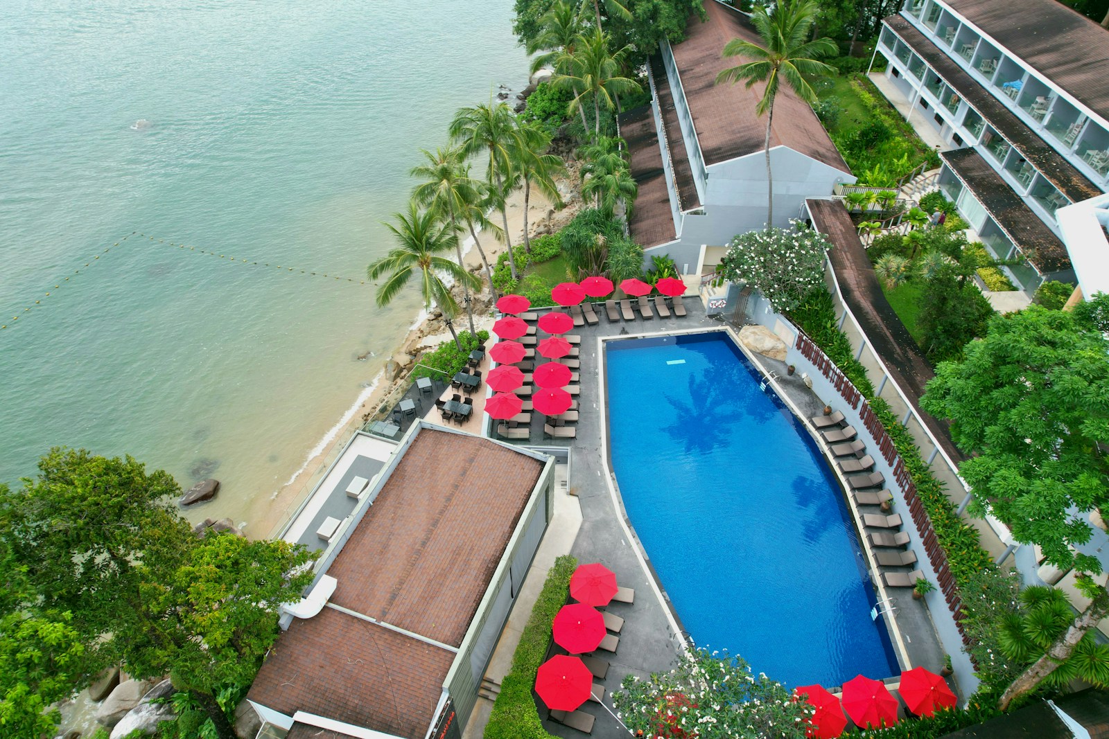 Beachside resort with a swimming pool, palm trees, and guest accommodation